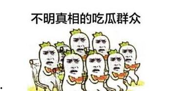 情人节我是个吃瓜群众,吃瓜群众视角下的甜蜜瓜界风云