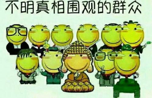 猪头吃瓜群众红脸惊喜,揭秘网络热梗背后的趣味与思考