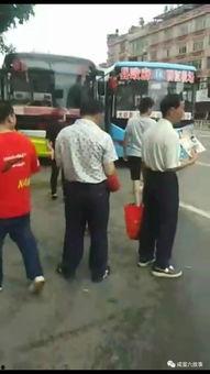 吃瓜群众亲吻视频,吃瓜群众亲吻视频引发热议