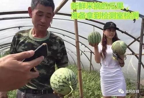 吃瓜视频群众们请看,揭秘网络热点背后的真相