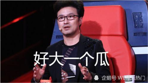 吃瓜群众汪峰,揭秘娱乐圈背后的真实故事