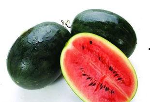 专业吃瓜群众的名字