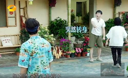 新乡吃瓜群众事件真相,真相与反思