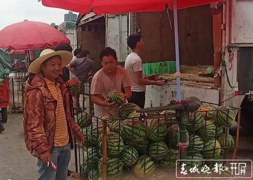 招远吃瓜群众新闻视频最新,最新新闻视频揭秘事件真相