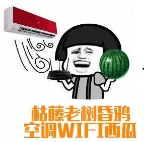 伏天吃瓜群众怎么办,吃瓜群众如何应对酷暑挑战