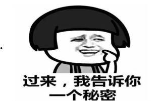 吃瓜群众搞笑瓜没了,搞笑瓜没了，精彩瞬间回顾