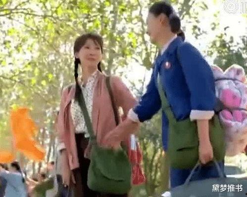 穿书吃瓜群众年代文合集