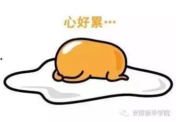 被骗的吃瓜群众,揭秘被骗吃瓜群众的悲惨遭遇