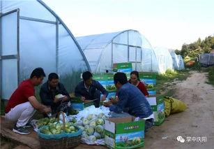 一个村的吃瓜群众是谁,这个村子的“吃瓜群众”究竟是谁？