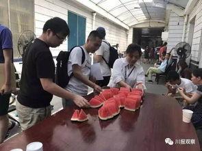 中原区最新吃瓜群众