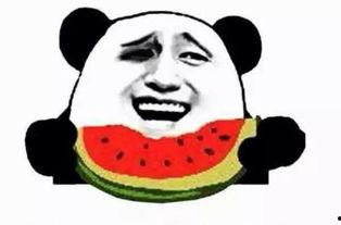 吃瓜群众狗子妈,吃瓜群众的温馨日常