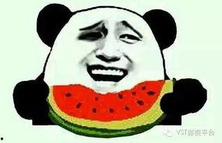 吃瓜群众背后的故事,揭秘网络舆论背后的故事