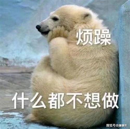 绝望的吃瓜群众图片表情包,绝望背后的社会现象