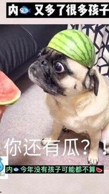 内娱第100号吃瓜群众,揭秘第100号吃瓜群众的幕后故事