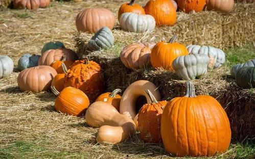 秋名山上的吃瓜群众图片,揭秘山巅风云录