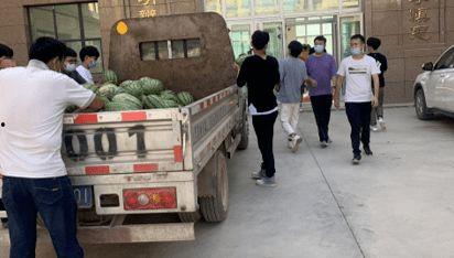 漯河吃瓜群众新闻事件,揭秘网络舆论背后的真相