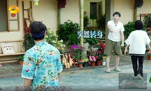 鹤川吃瓜群众事件真相,揭开真相背后的网络迷雾