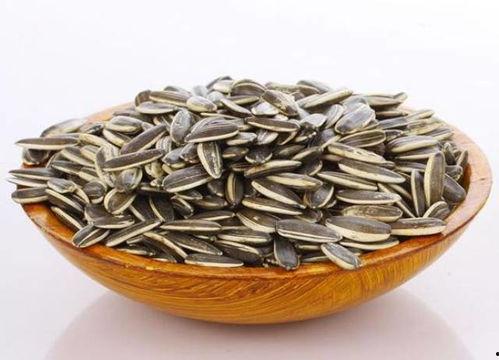 吃瓜群众小瓜子,吃瓜群众的趣味生活点滴