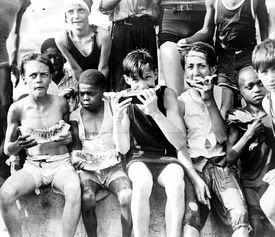 吃瓜群众摄影作品图片