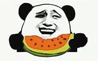 吃瓜群众炸屏视频大全,吃瓜群众炸屏视频大全，揭秘热门事件幕后真相