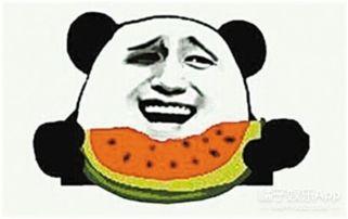 葫芦磊吃瓜群众,吃瓜群众的智慧与趣味