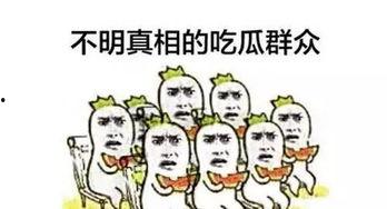默默刷屏吃瓜群众,揭秘网络热议背后的真实故事