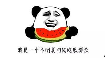 还是安心做吃瓜的群众吧,旁观者的智慧与选择