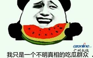 优质吃瓜群众是什么意思,网络时代的理性围观者