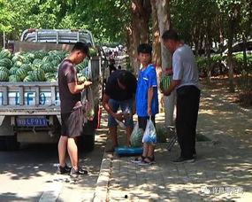 来宾吃瓜群众事件最新消息,最新进展揭秘，真相逐渐浮出水面