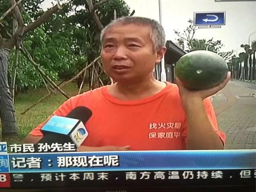 如皋吃瓜群众事件最新情况,真相大白，网络谣言终被击破