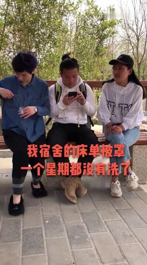 吃瓜群众招谁,揭秘娱乐圈的“瓜田”风云