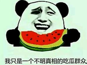 不错的吃瓜群众怎么说话,妙语连珠，趣味横生的日常谈资