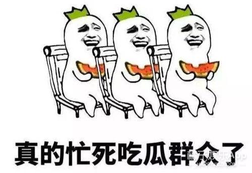 吃瓜群众该怎么挑瓜