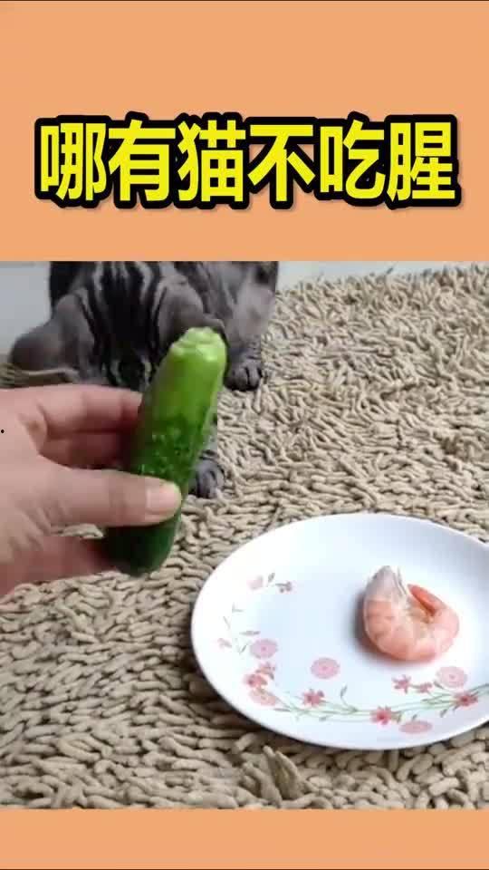 吃瓜群众想不想吃,揭秘他们是否真的想吃瓜